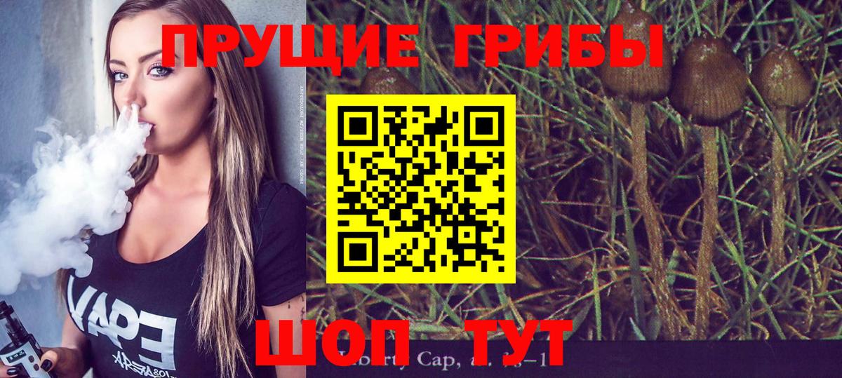 Псилоцибиновые грибы прущие грибы Владивосток