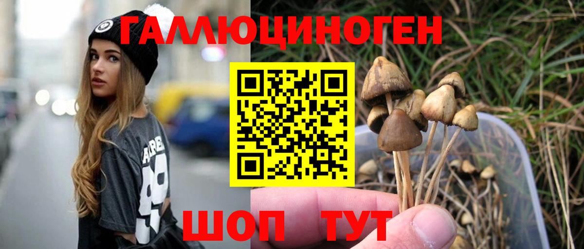 Владивосток  Псилоцибиновые грибы Psilocybine cubensis  Вход с VPN 